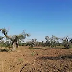 Masseria Bosco Colombo * Mesagne