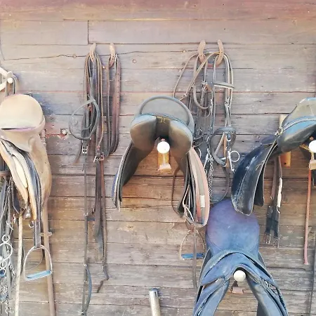 Masseria Bosco Colombo فيلة ميسانيي