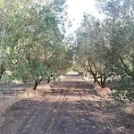 Masseria Bosco Colombo Villa *