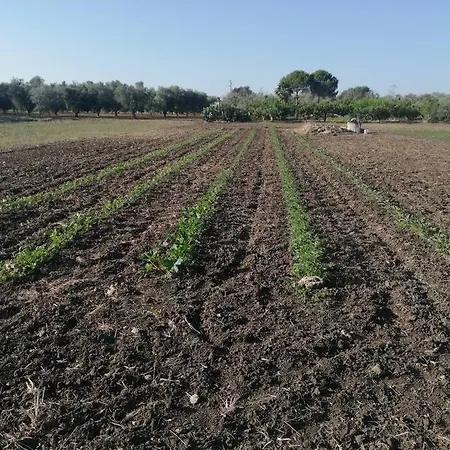 Masseria Bosco Colombo *