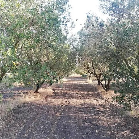 Masseria Bosco Colombo Villa *
